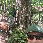 Image of Review by DAVID P. on 20 Aug 2023 number 1