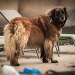 Image of Review by Apryl P. on 22 Aug 2023 number 2