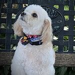 Image of Review by Minday W. on 23 Aug 2023 number 1