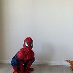 Image of Review by Amy S. on 26 Aug 2023 number 1
