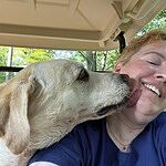 Image of Review by Nicole H. on 27 Aug 2023 number 1
