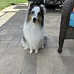Image of Review by Shannon C. on 30 Aug 2023 number 1