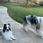 Image of Review by Shannon C. on 30 Aug 2023 number 2