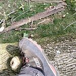 Image of Review by SCOTT M. on  5 Sep 2023 number 2