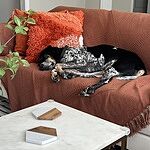 Image of Review by Paula J. on  7 Sep 2023 number 3