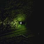 Image of Review by Helmut Q. on  6 Sep 2023 number 1