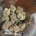 Customer Review Image