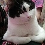 Image of Review by Lori P. on 28 Sep 2023 number 1