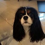 Image of Review by Angela O. on  1 Oct 2023 number 2