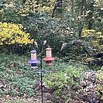 Image of Review by Lisa P. on  6 Oct 2023 number 2