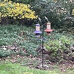 Image of Review by Lisa P. on  6 Oct 2023 number 1