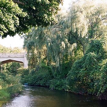 Photo of review by Lydia on Oct 6, 2023 #1