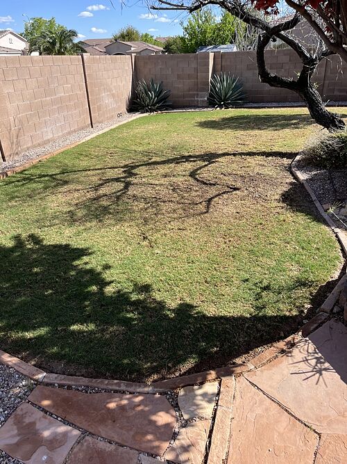 A lawn in Chandler, AZ