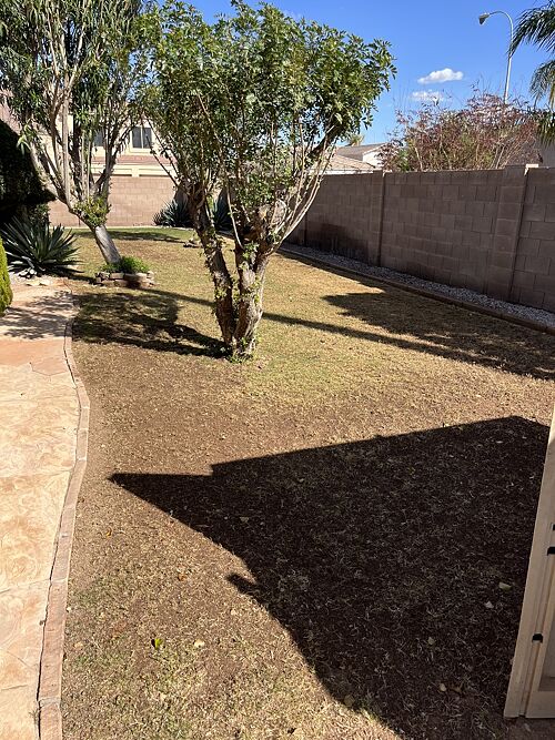 A lawn in Chandler, AZ