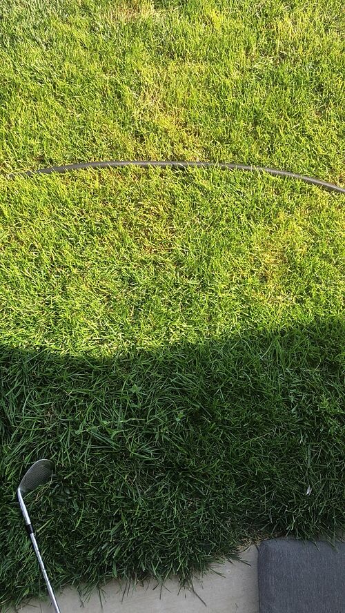 A lawn in Boise, ID