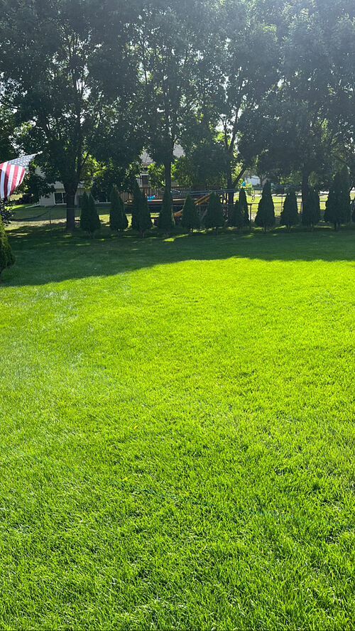 A lawn in Farmington, MN