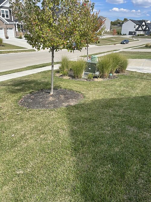 A lawn in Independence, KY