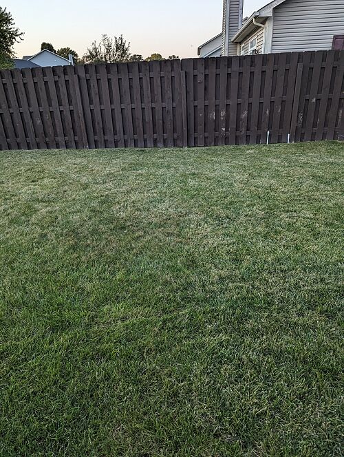 A lawn in Noblesville, IN