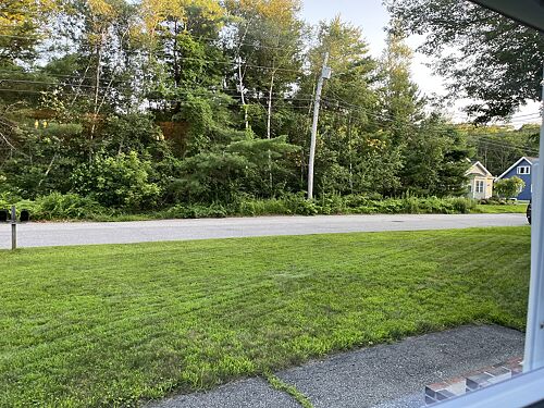 A lawn in Brunswick, ME