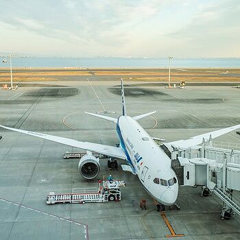 ANA(全日空)の国内線飛行機・格安航空券予約ならスカイチケット ANA(全日空)の国内線飛行機・格安航空券予約ならスカイチケット