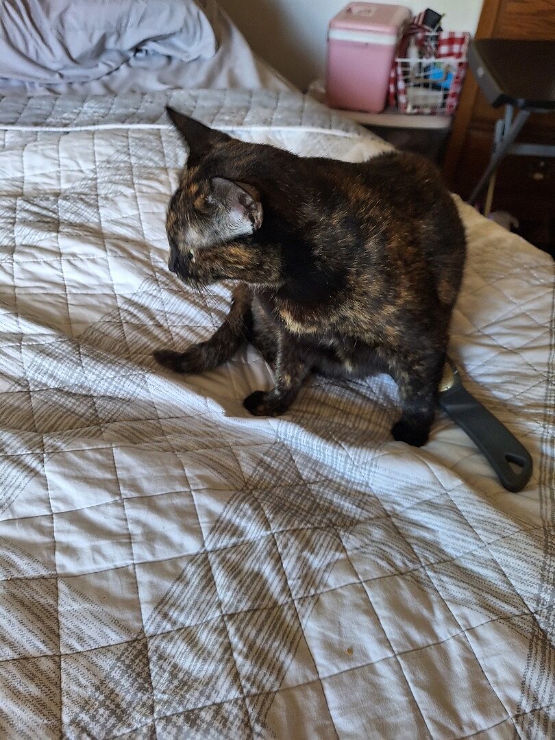 Catalyst Pet customer photo shared by Elaine P.