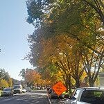 Image of Review by CHARLES W. on 29 Oct 2023 number 1