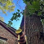 Image of Review by Tyler W. on 29 Oct 2023 number 1