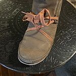 Image of Review by Christina C. on  8 Nov 2023 number 1