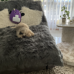 Image of Review by Petra N. on  9 Nov 2023 number 1