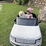 Image of Review by Paola J. on 13 Nov 2023 number 1