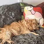 Image of Review by Maree M. on 17 Nov 2023 number 1
