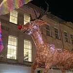 Image of Review by Tony on 28 Nov 2023 number 3