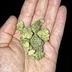 Customer Review Image