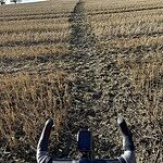 Image of Review by Tien L. on  6 Dec 2023 number 6