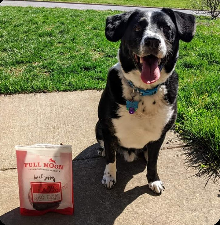 Jerky Treats American Beef Dog Jerky Treats 60 Oz Bag Hill's