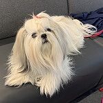 Image of Review by Patricia B. on 12 Dec 2023 number 1