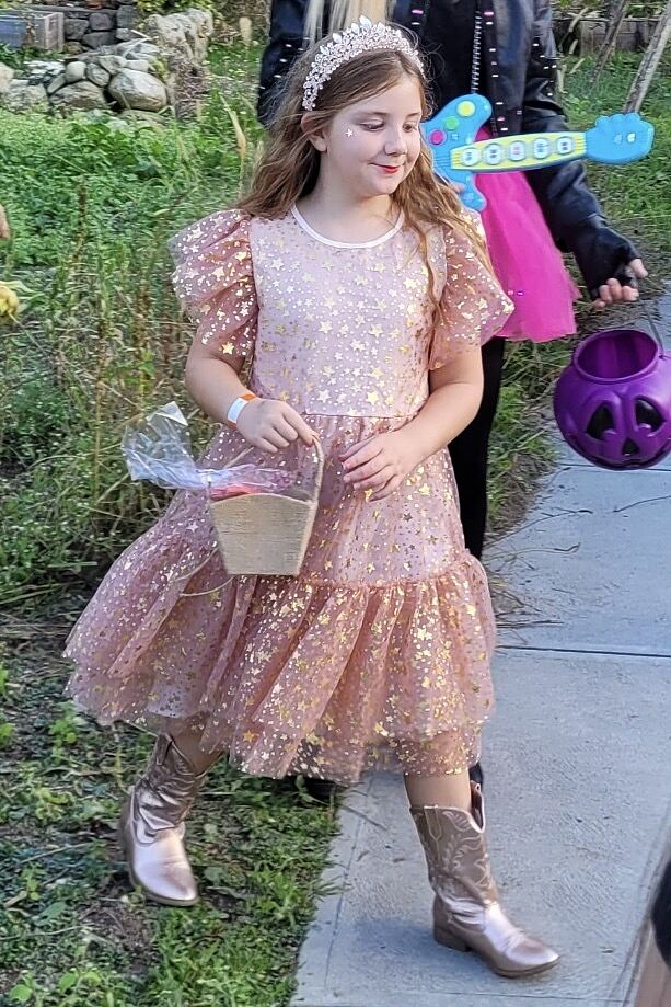 ワンピース JILTU twinkle star dress ワンピース JILTU twinkle star dress B49OP301 Le Fleurie Chiffon