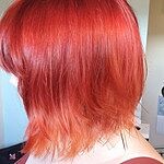 Image of Review by Sophie R. on 19 Dec 2023 number 1