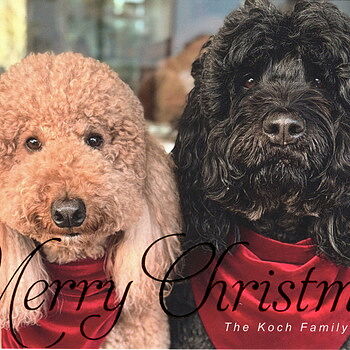 Photo of review by Rhonda on Dec 26, 2023 #1