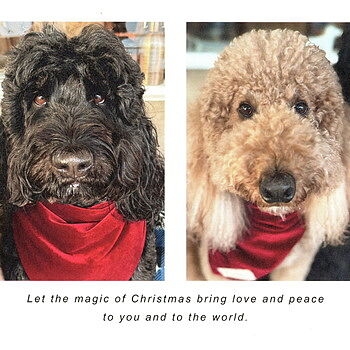 Photo of review by Rhonda on Dec 26, 2023 #2