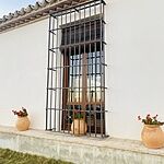 Image of Review by Maria P. on 26 Dec 2023 number 2