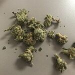 Customer Review Image
