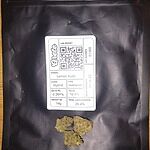 Customer Review Image