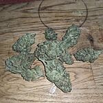 Customer Review Image