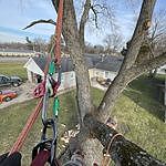 Image of Review by JOSIAH N. on 12 Jan 2024 number 1