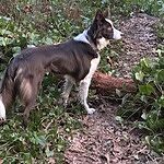 Image of Review by Catherine S. on 17 Jan 2024 number 1