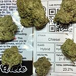 Customer Review Image
