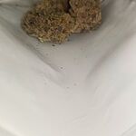 Customer Review Image