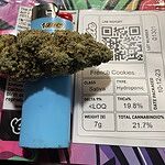 Customer Review Image