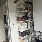 Image of Review by Daniela S. on  1 Feb 2024 number 2